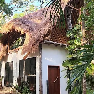 selva-roca-tulum.allrivieramayahotels.com/
